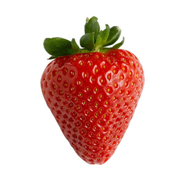 Fresh Fruit